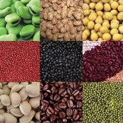 Broad bean / mung bean / lentil / dal bean dehulling machine